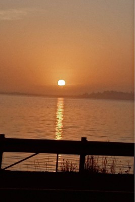 There was too much light and too much fog to get a good sunset picture so I snap this one about 5 o'clock Sunday evening.