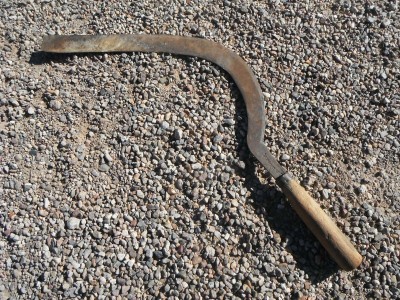 DSCF7856.JPG
