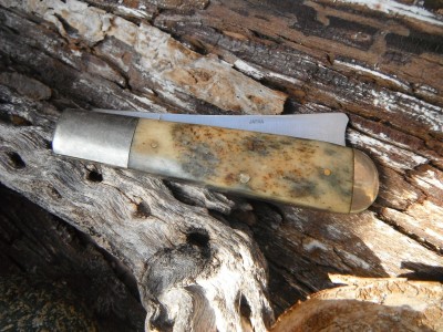 DSCF7880.JPG