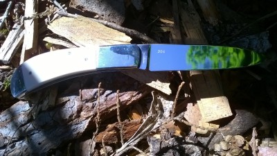 WP_20180514_023.jpg
