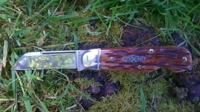 WP_20170503_022.jpg