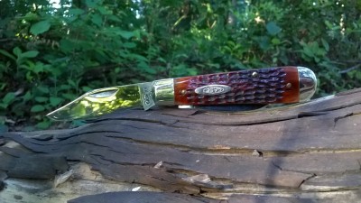 WP_20170529_026.jpg