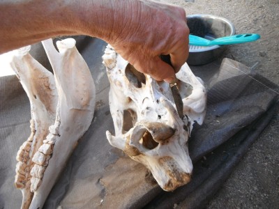 DSCF8090.JPG