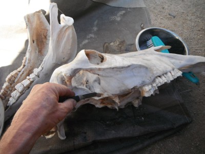 DSCF8094.JPG
