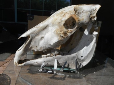 DSCF8096.JPG
