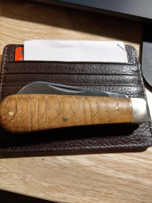 IMAG0709.jpg