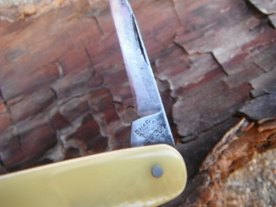 DSCF7938.JPG