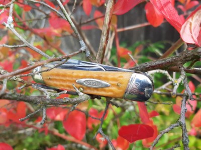 thumbnail_20211018_134907.jpg