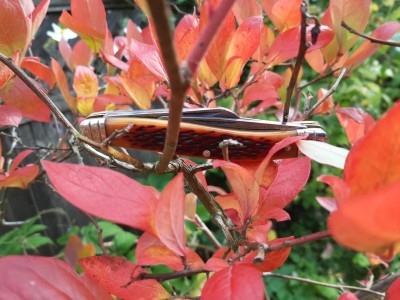 thumbnail_20211018_134933.jpg