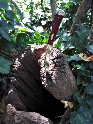 Mini CoperLock stumped.jpg