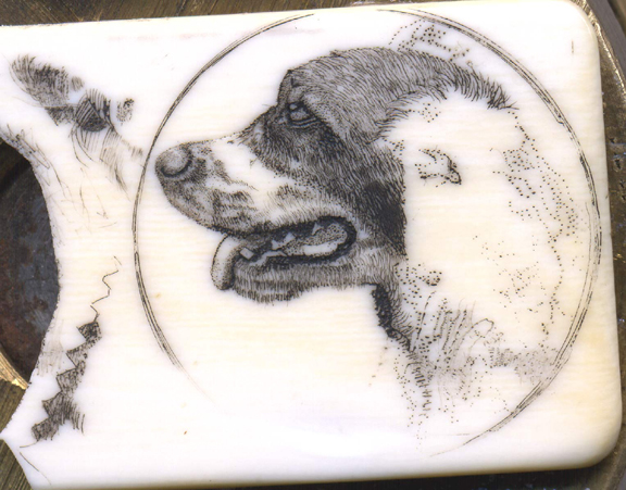 Of course being sure to save the best for last..... the curly ear hairs!  
<br />
<br />Colin Paterson, a.k.a. RealMontanan