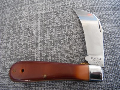 DSCF8237.JPG