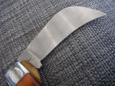 DSCF8239.JPG