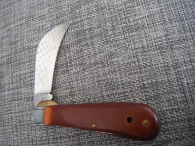 DSCF8242.JPG
