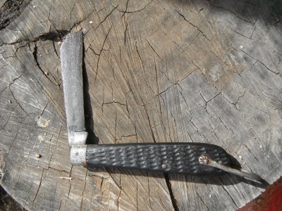 DSCF8378.JPG