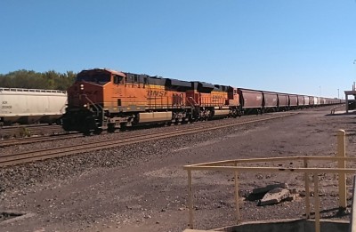 KIMG1416~2.JPG
