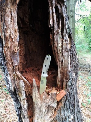 ESEE 3 IV.jpg