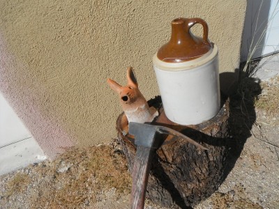 DSCF8701.JPG