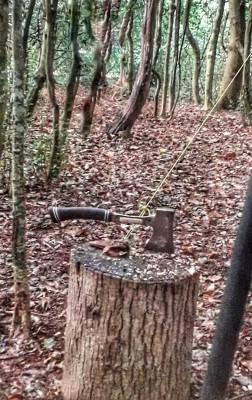 20211024_162849-01.jpeg