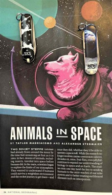 Anumals In Space 1.jpg
