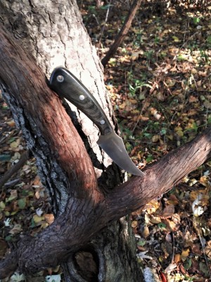 BR Fingerling trail shot.jpg