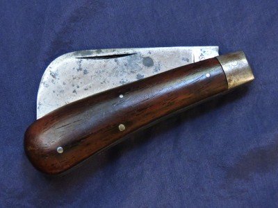 Voos Hawkbill 1.JPG