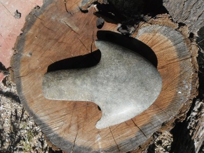 DSCF8847.JPG