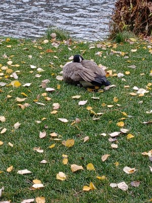 20211028_165015.jpg