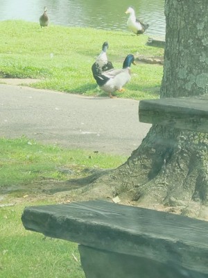 20200915_140024.jpg