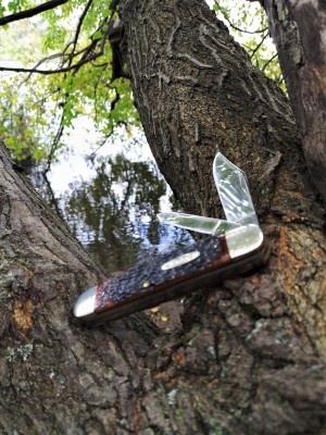 Ka=bar jumbo jack treed.jpg