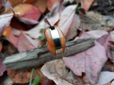 thumbnail_20211101_095652.jpg