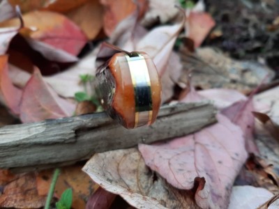 thumbnail_20211101_095647.jpg