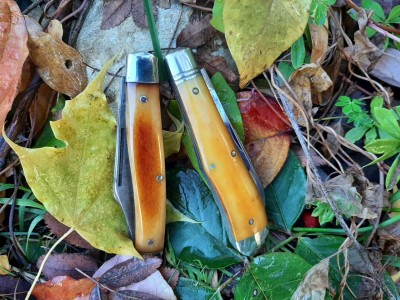 thumbnail_20211030_100516.jpg