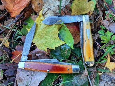 thumbnail_20211030_100427.jpg