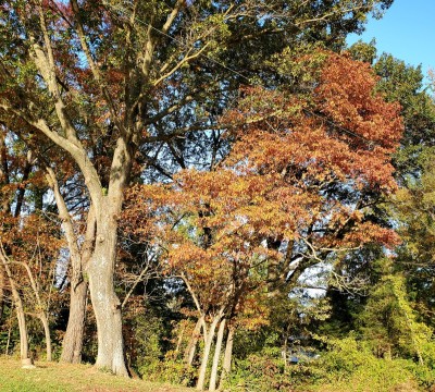 20211102_162929.jpg