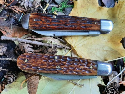 thumbnail_20211105_124005.jpg