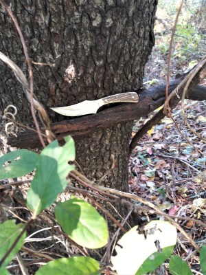 H&R trail shot II.jpg