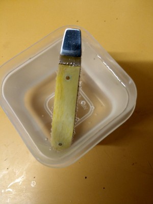 IMAG0731.jpg