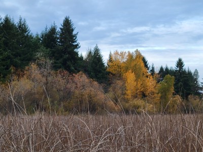 20211108_161613.jpg