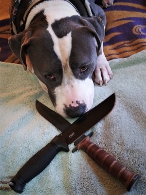 Dog Soldier .jpg