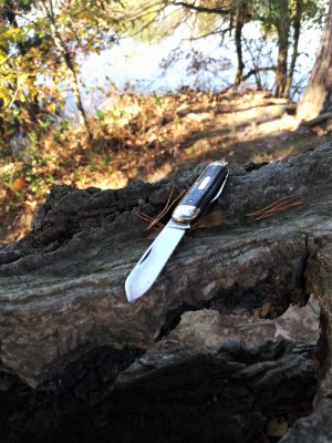 Tidioute White Owl on the trail.jpg