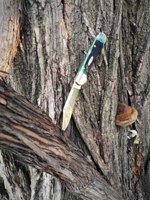 CopperLock Treed.png