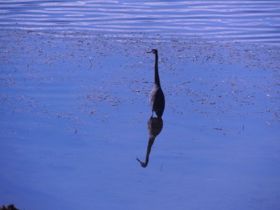 DSCN7568.JPG