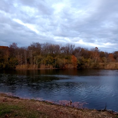 20211112_165728.jpg