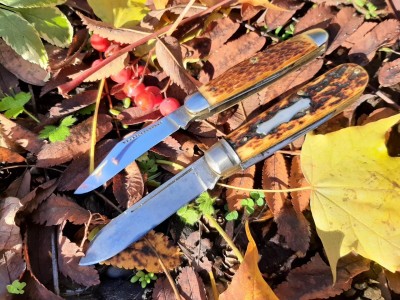 thumbnail_20211108_101019.jpg