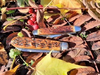 thumbnail_20211108_101129.jpg