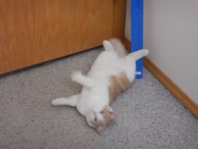 DSCN5673.JPG