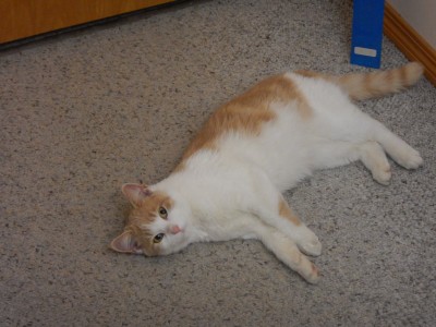 DSCN5694.JPG