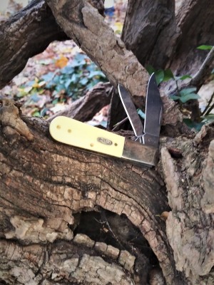 Barlow stump.jpg