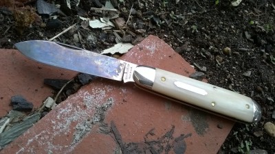 WP_20180328_028.jpg